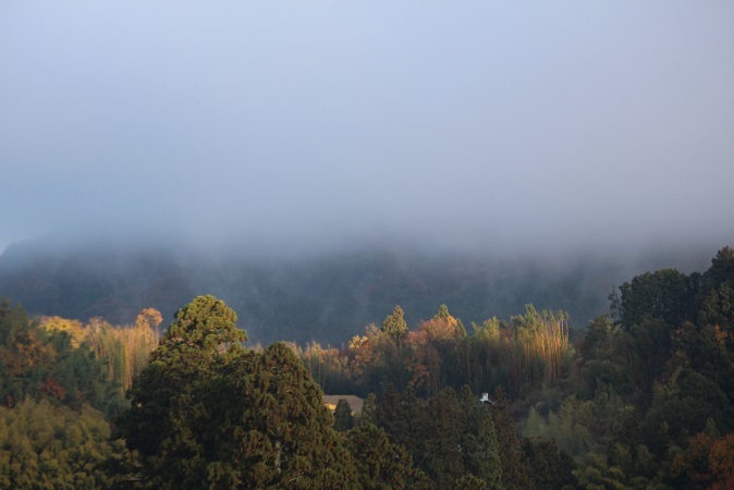 IMG_6515-l.jpg