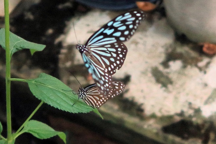IMG_7508-3-j.jpg